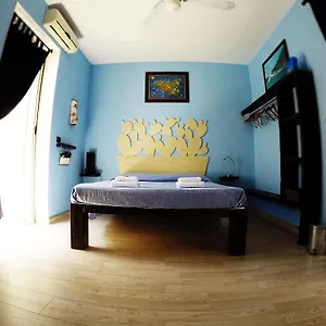 book here